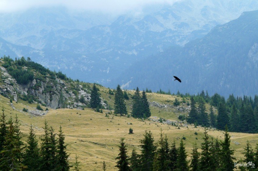 Transalpina Góry Parang