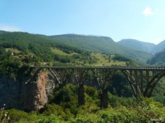 Durdevica Tara Bridge