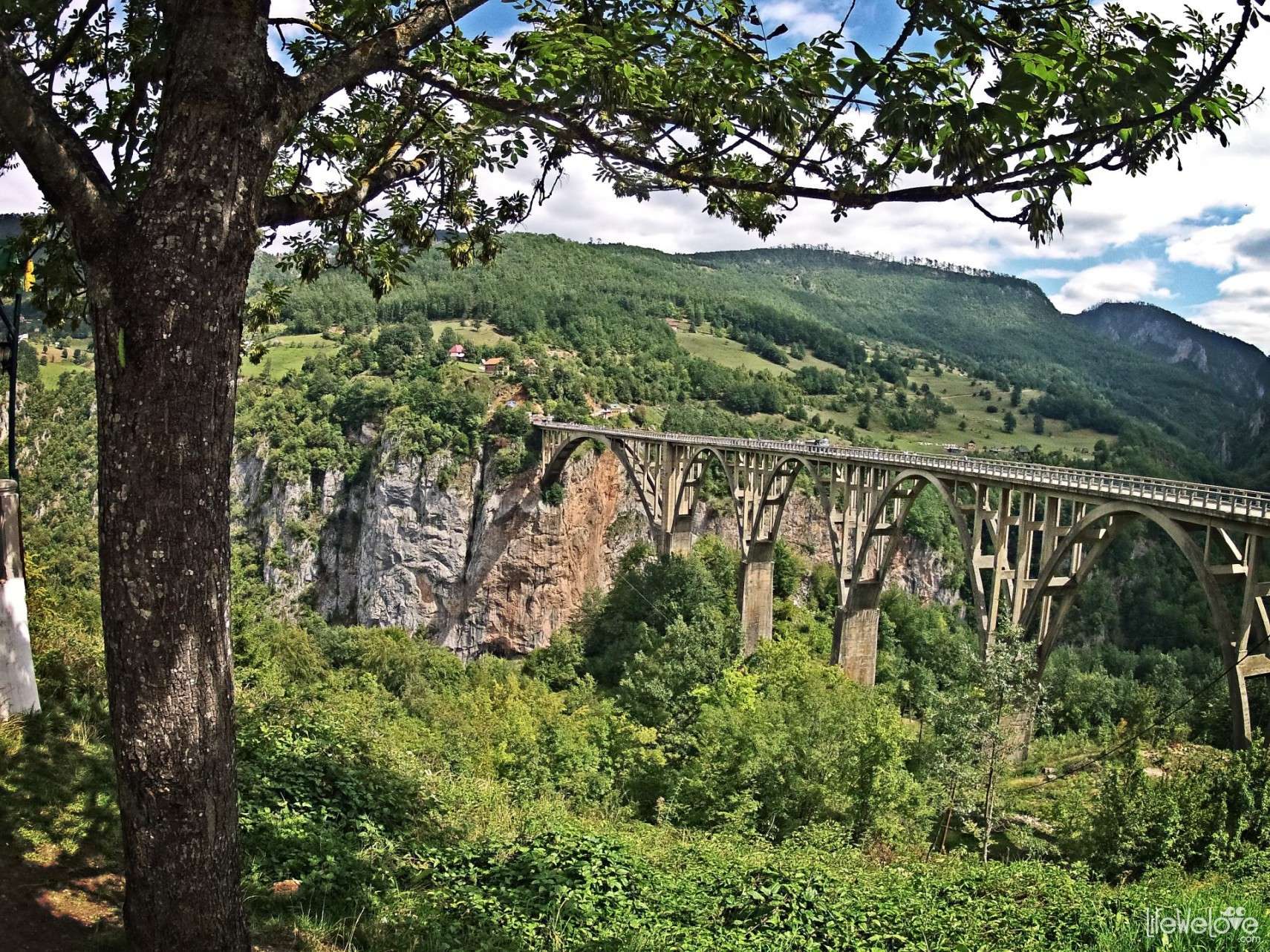 Most nad rzeką Tara w Czarnogórze