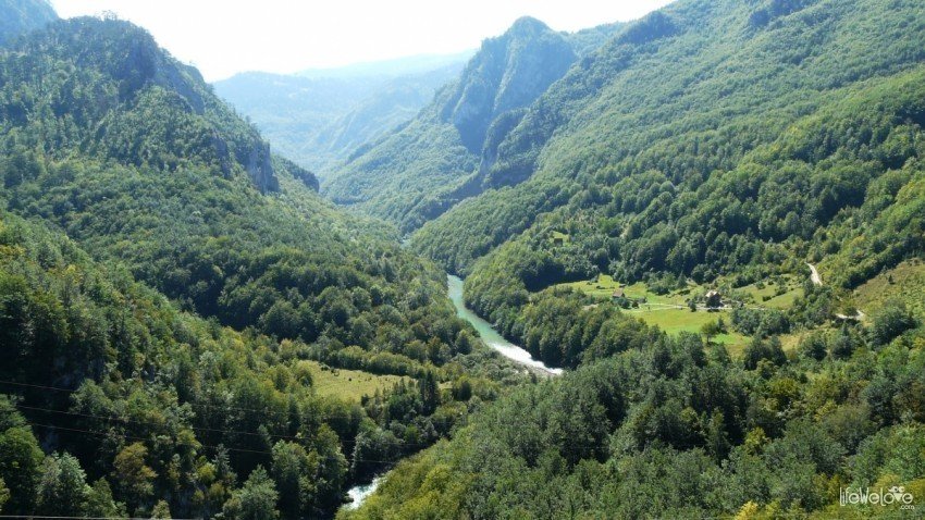 Kanion rzeki Tary