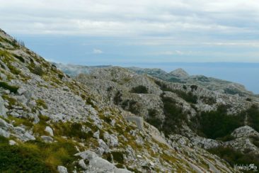 View from Sveti Jure