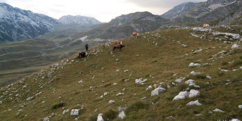 Durmitor by motorbike