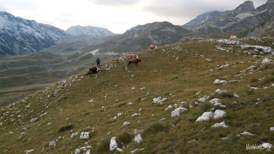 Durmitor by motorbike