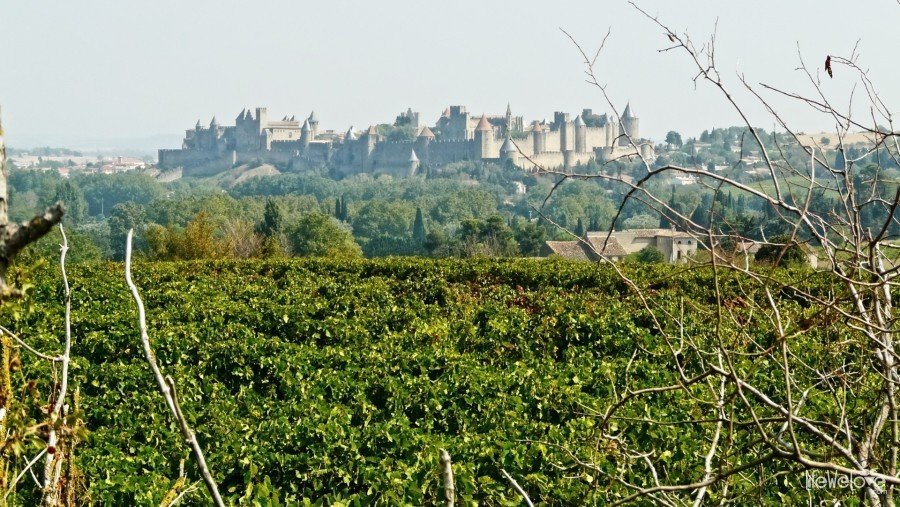 Carcassonne z miejsca widokowego