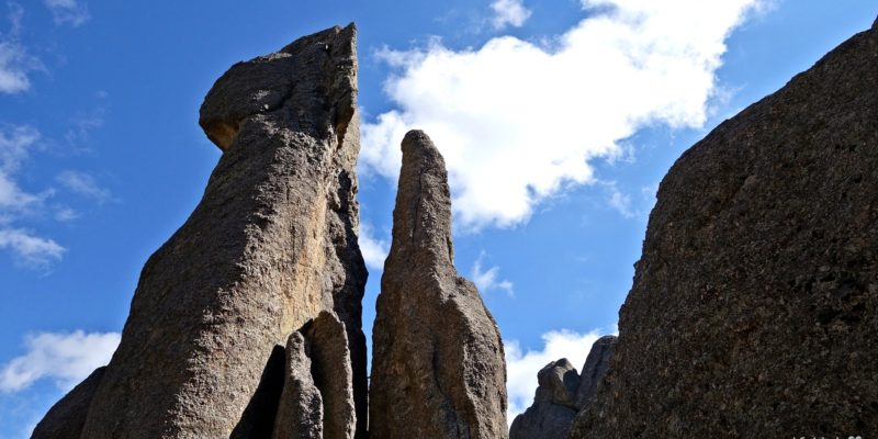 The Needles Highway