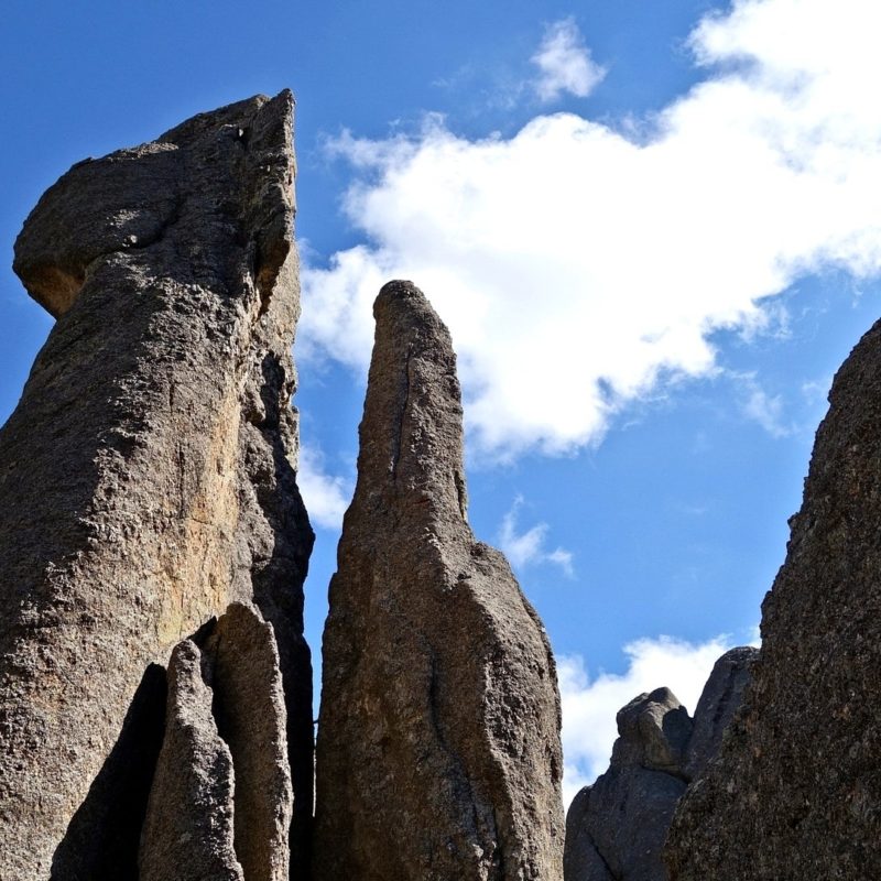 The Needles Highway