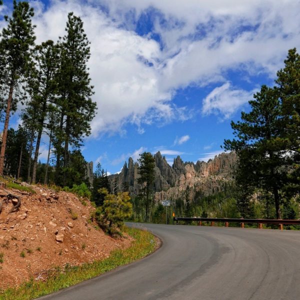 The Needles Highway, a winding road finally! - LifeWeLove