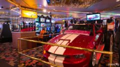 Mustang in casino