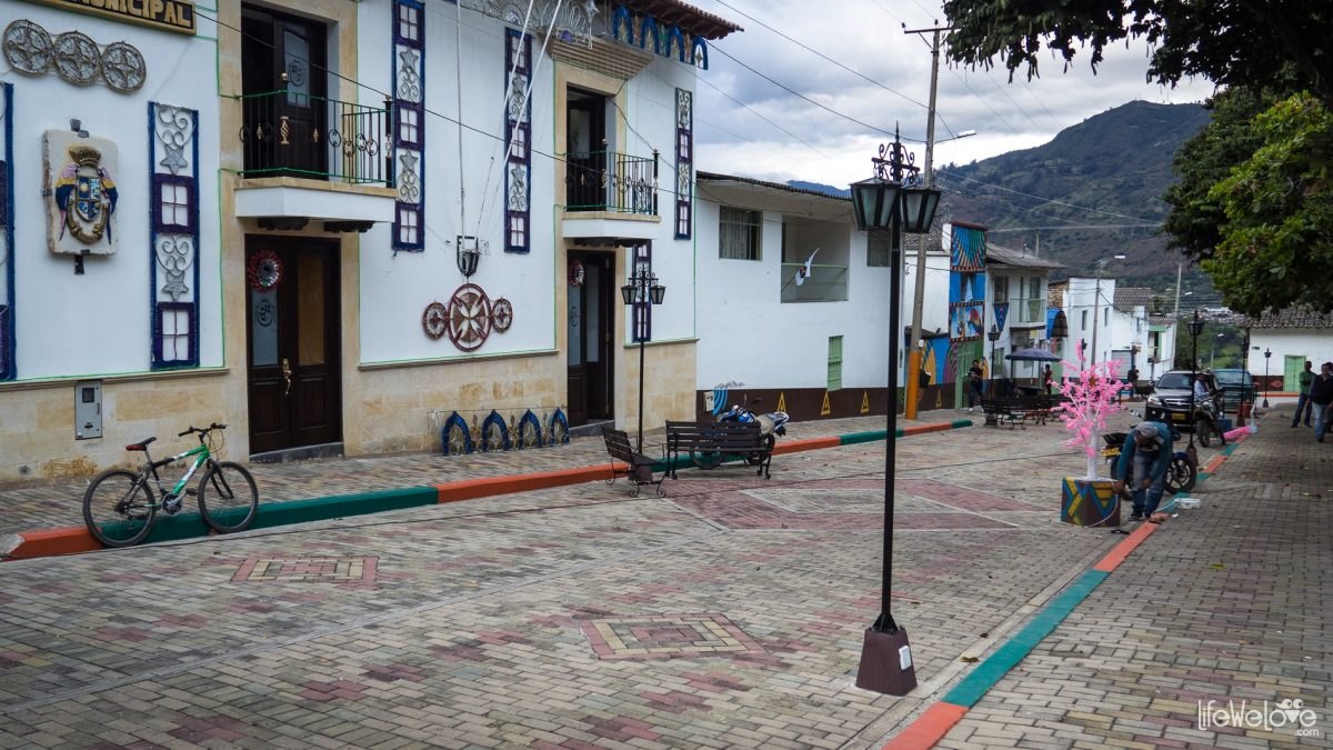 Guacamayas in Colombia