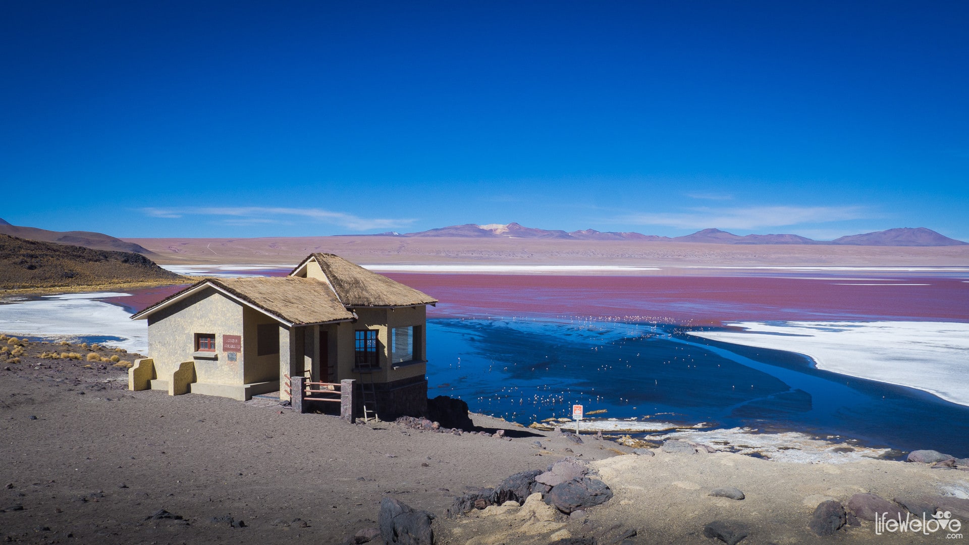 Laguna Colorada w Boliwii