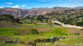 Along Runta 3N in Peru - Mollemamba