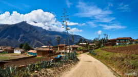 Along Runta 3N in Peru - Mollemamba