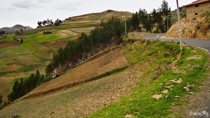 Peru Ruta N Cajamarca Santiago De Chugo