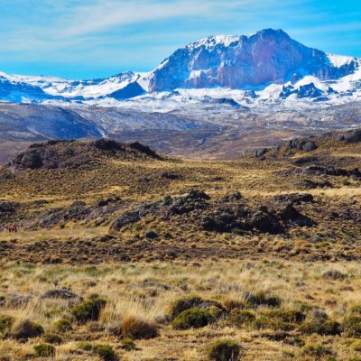 Chile - Park Patagonia