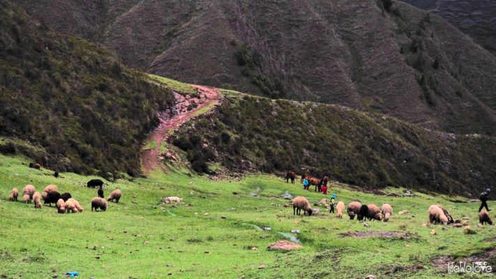 Droga z La Union do Huanuco w Peru