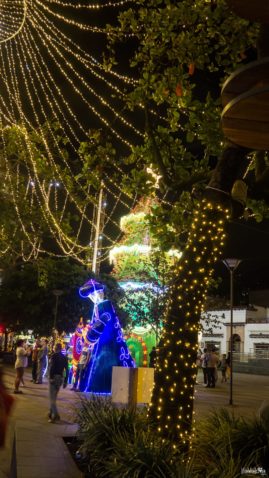 Medellin Christmas Lights